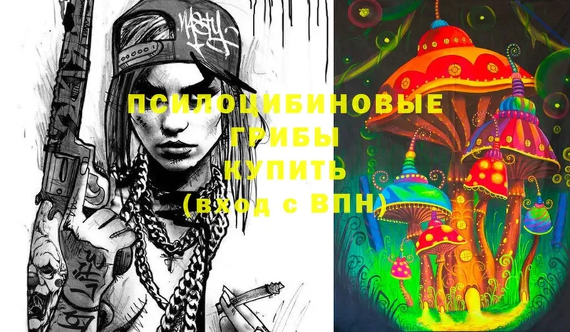 Галлюциногенные грибы Psilocybe  Нижняя Тура 